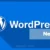 wordpress nedir