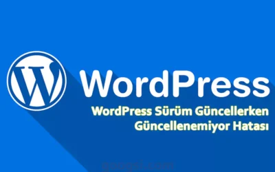 wordpress sürüm güncellerken güncellenemedi hatası